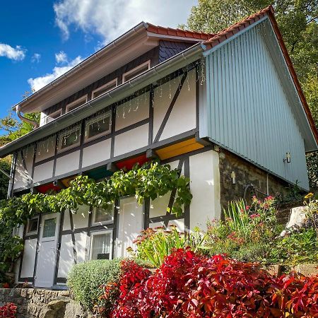 Villa Harz im Glück - Fachwerkhaus für zwei in Wernigerode Exterior foto